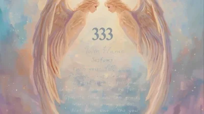 333 Angel Number Twin Flame Meaning