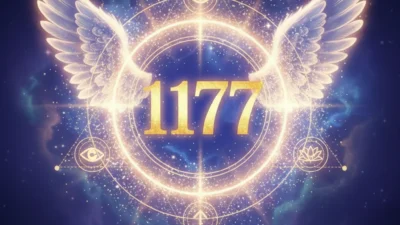 1177 Angel Number Meaning: