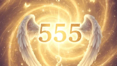 555 Angel Number Meaning Twin Flame: