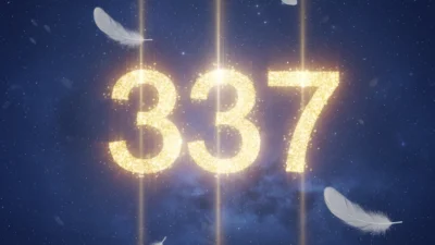 337 angel number
