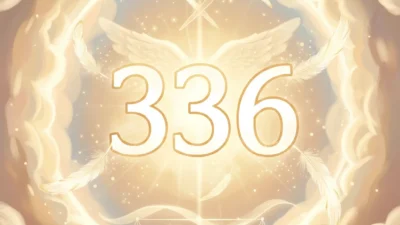 336 Angel Number